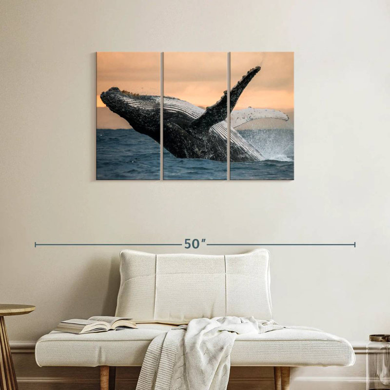 Brampt Humpback Whale Toss, 24" H x 38" W