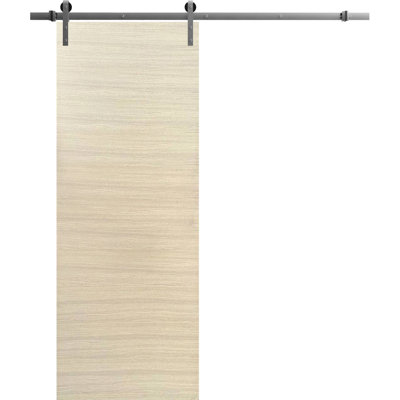 Porte coulissante de style grange avec quincaillerie en acier inoxydable, 2 m (6,6 pi), supports de rail en placage naturel Planum 0010, ensemble argenté robuste, portes intérieures modernes à panneaux pleins - 81 cm x 203 cm (32 po x 80 po) - Rail argenté