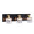 3 - Light Vanity Light