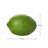 Orchard Lifelike Artificial Limes (Set of 8)-380241130