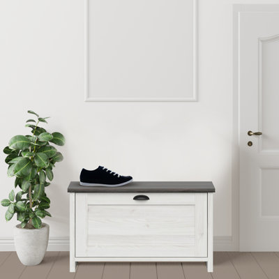 Eagan Shoe Storage Cabinet