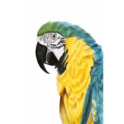 Parrot - Wrapped Canvas Painting