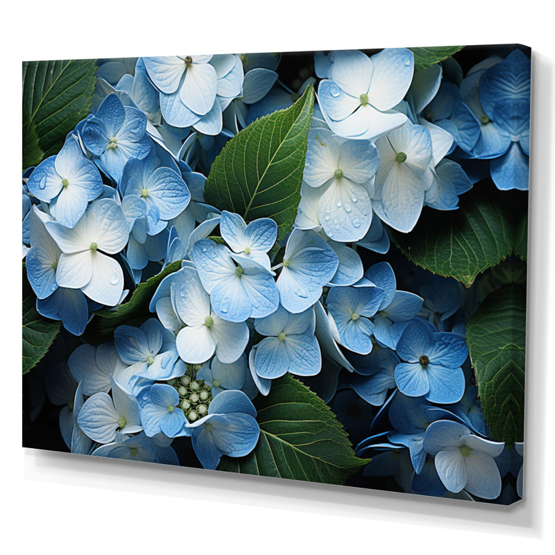 «Blue Hydrangea Field», vue aérienne sur toile, H 12 po x l 20 po x P 1 po, Toile tendue
