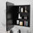 Elselore Metal Surface-Mounted Mirror Cabinet-1724930685