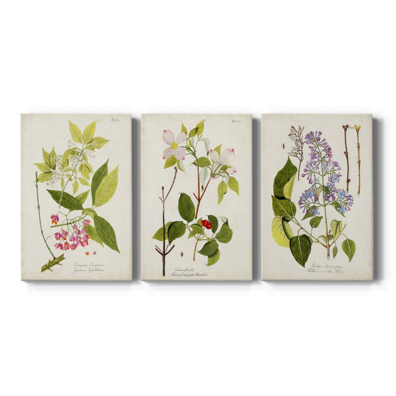 Arbre en fleurs IV - Toile tendue avec châssis sur mesure - 3 pièces, H 12 po x l 24 po