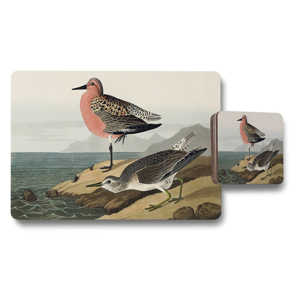 Birds on the Shore Placemat and Coaster Set Vintage Illustration