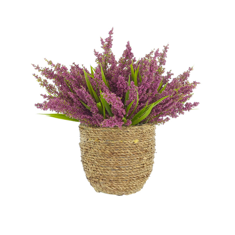 Heather dans un pot de paille, Rose