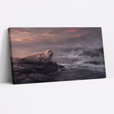 Phoques se reposant sur des rochers sombres au coucher du soleil, au bord de l'océan - Toile murale d'Halloween