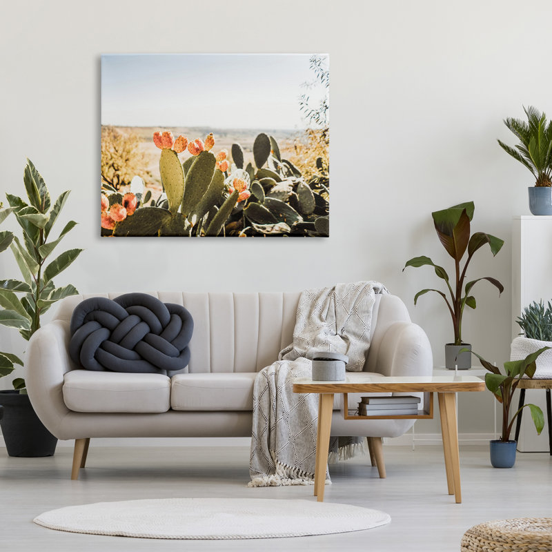 Cactus ensoleillé par Krista Broadway - photographie, H 36 po x l 48 po x P 1,5 po, Toile tendue