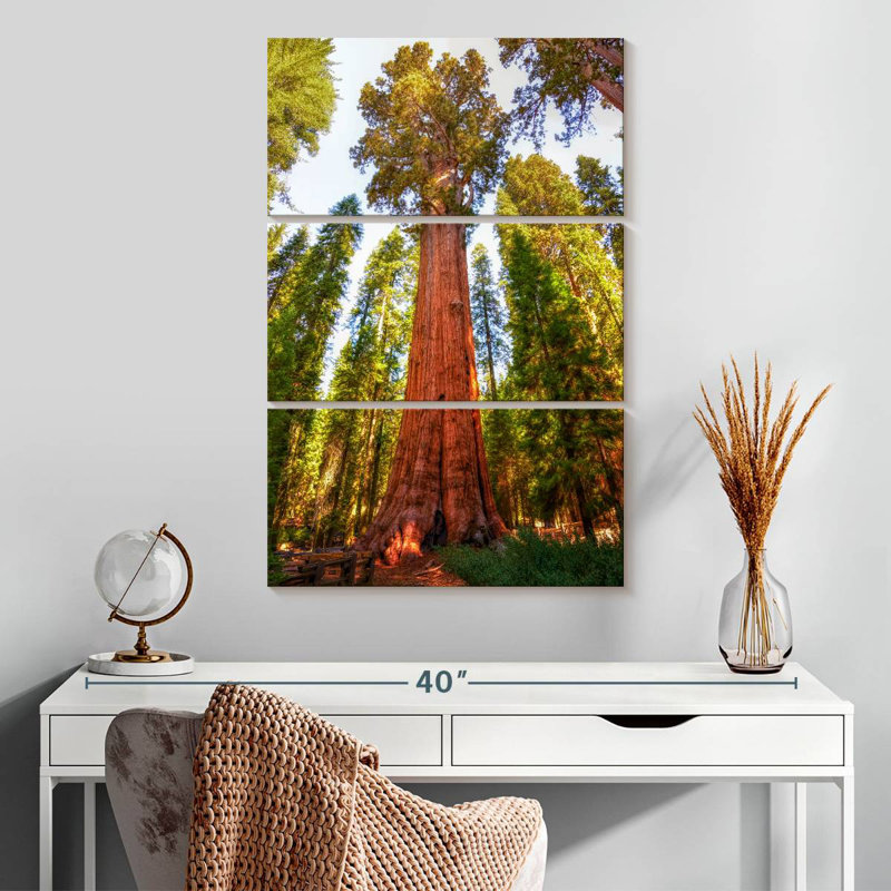 Harnek Redwood Tree Grove, H 32 po x l 20 po