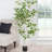 152.4cm Faux Birch Tree in Planter