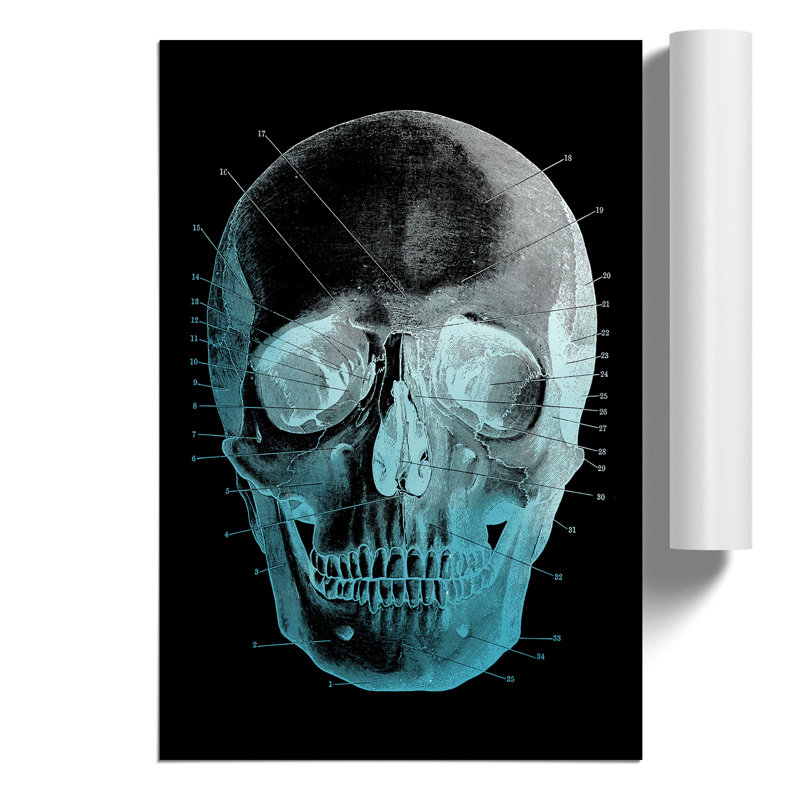 Black Twilight Skull - Frameless Print, 42cm H x 30cm W x 0.1cm D