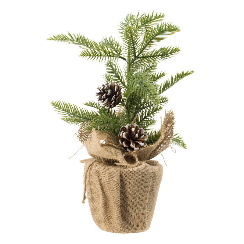 S/2 18X10" Pine Arrangement