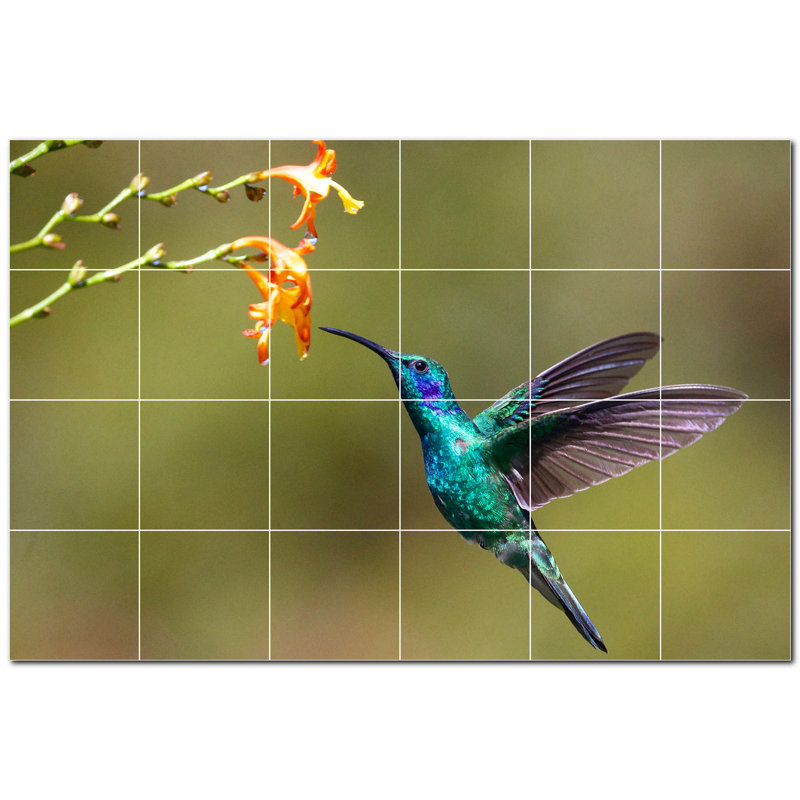 Photo d'oiseau 12 po x 12 po