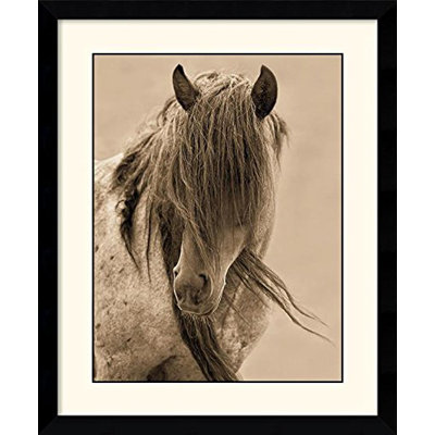 " Freedom " by Lisa Dearing