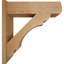 Sapin Douglas-106952012-31651503