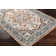 Aldusa Oriental Indoor Rug