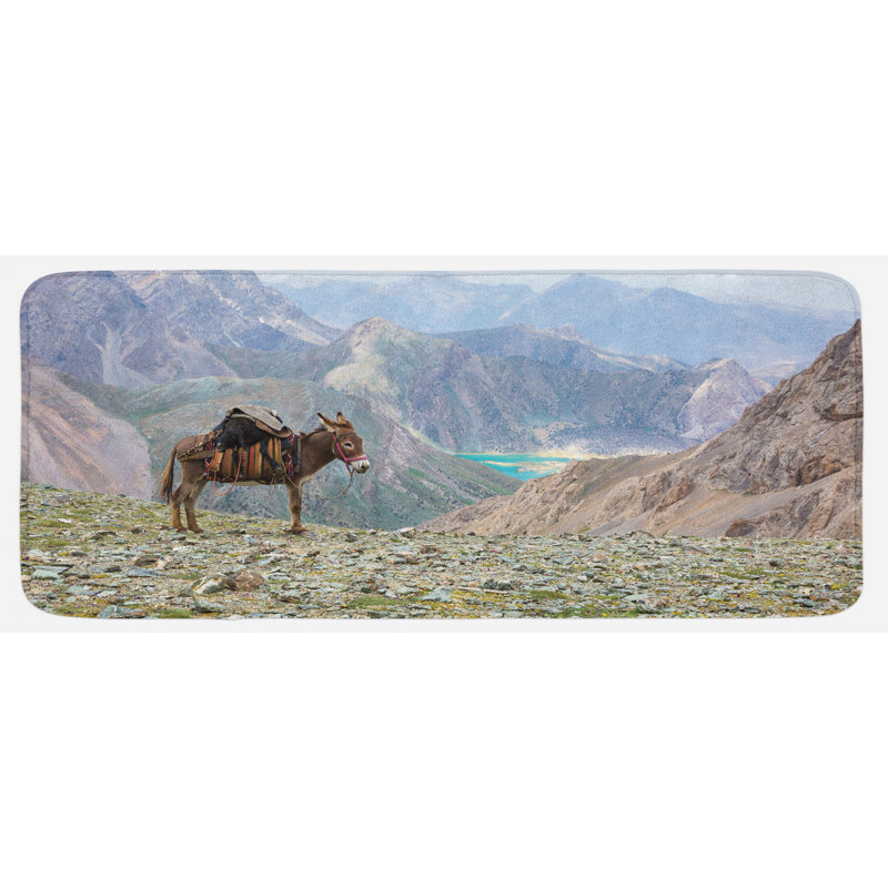 Tapis de cuisine Donkey