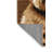Washable Briard Dogs Area Rug-575372260