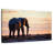Brampt Solitary Elephant-108817401