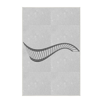 Indoor Rug