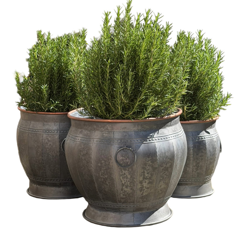 Pot de fleurs en pot