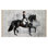 Vintage Gray Distressed Patterned Black Horse Rider Woman-Themed Decorative Rug