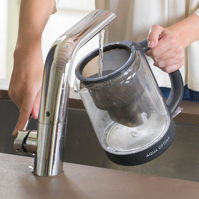 Bouilloire électrique avec filtre à eau