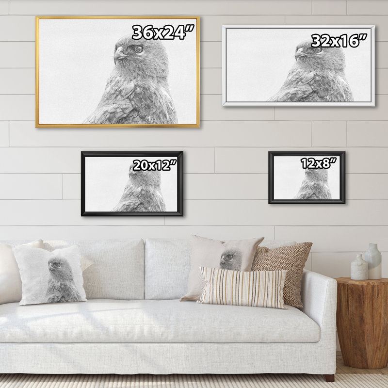 Croquis commun Buteo Buteo - impression sur toile, H 12 po x l 20 po x P 1 po, Cadre flottant blanc