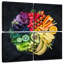 Yarlin couleurs d'aliments sains-109111672