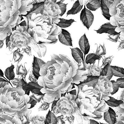 Peonies Flowers Watercolor  Black And White Wallpaper Mural