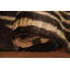 Tapis moderne moderne en jute à motif oriental marocain pour vestibule 3 x 5 pi