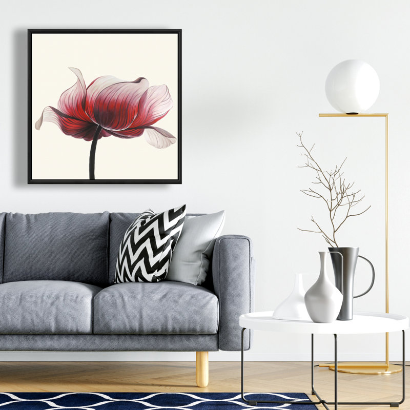 " Anemone Flower "