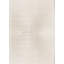 Area Rug in Beige