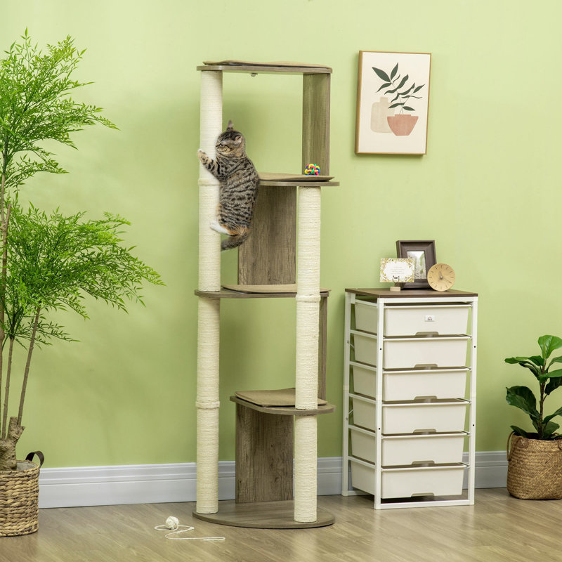 Tasha 65.3'' H Cat Tree
