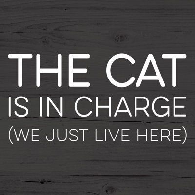 Cat In Charge Simple - Wrapped Canvas Print