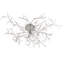 LED Flush Mount