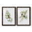 Winter Botanical III - ensemble de 2 reproductions d'art-1084665595-1084665594-1084665346