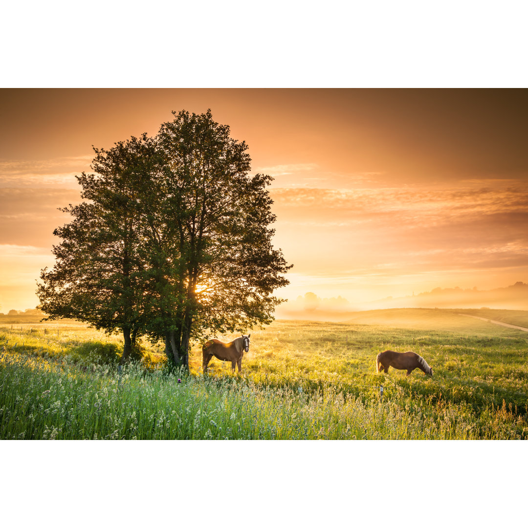 Ackerland Landschaft von Konradlew - Leinwandbild