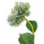 French Hydrangea   Set of 6   9" x 6" x 34"   Multicolor