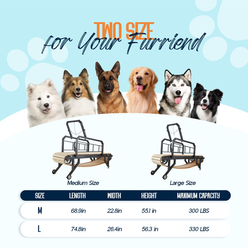 Dog Treadmill with Hand Brake, Up to 300lbs, 19" W