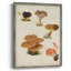 Reproduction encadrée de champignon V - Bois massif-1214580294