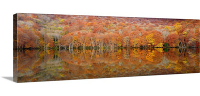 Straub " Glowing Autumn " by Sho Shibata