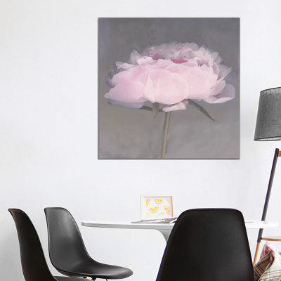 Jolie by Erin Clark - Print on Canvas