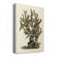 Antique Coral II, impression sur toile tendue-1171798151