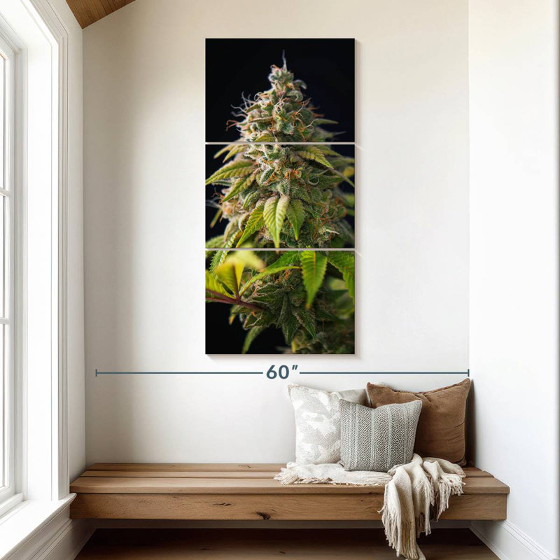 Cannabis Buds, 52" H x 24" W