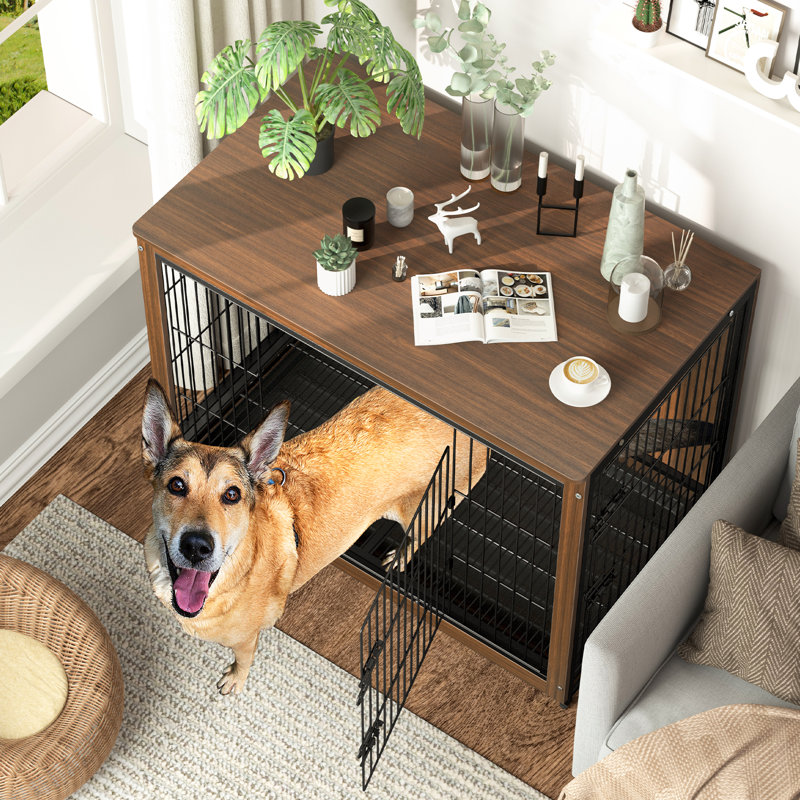 Caisse pour animal Wanston, Grand (H 30 po x l 38,38 po x P 23,23 po)