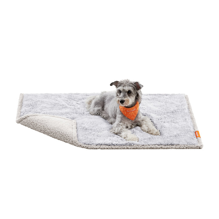Couvertures pour chiens