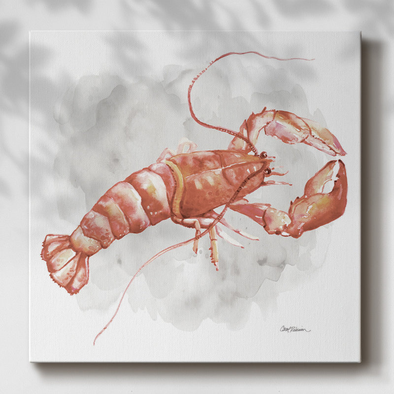 Homard, H 24 po x l 24 po x P 1,5 po