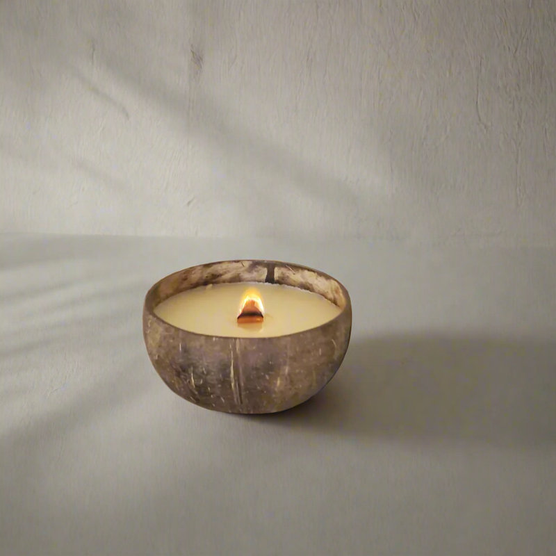 Eco-Friendly Coconut Shell Scented Candle - Cinnamon Apple